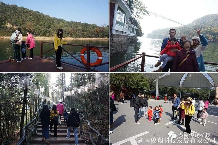 1587612306665.jpg 511.jpg